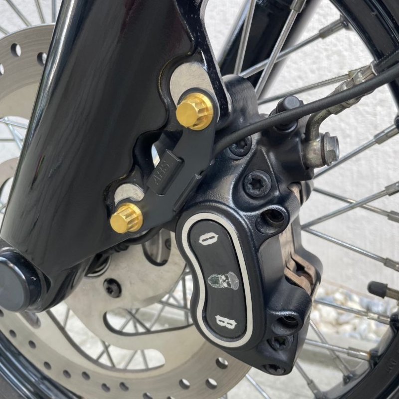 Bremssattel Schrauben | pass. f. Harley Davidson | Titan Gr. 5